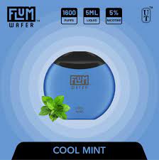 Cool Mint Bliss: Exploring the Flum Wafer 1600 Puffs Device