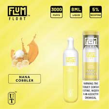 The Ultimate Vaping Experience: Flum Float 3000 Puffs Nana Cobbler